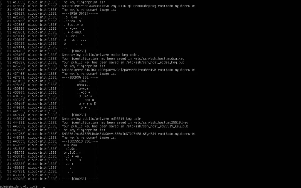 Установка Ubuntu Server 26 - Шаг 18 - Вход в систему