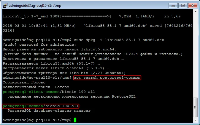 Результат apt search postgresql-common